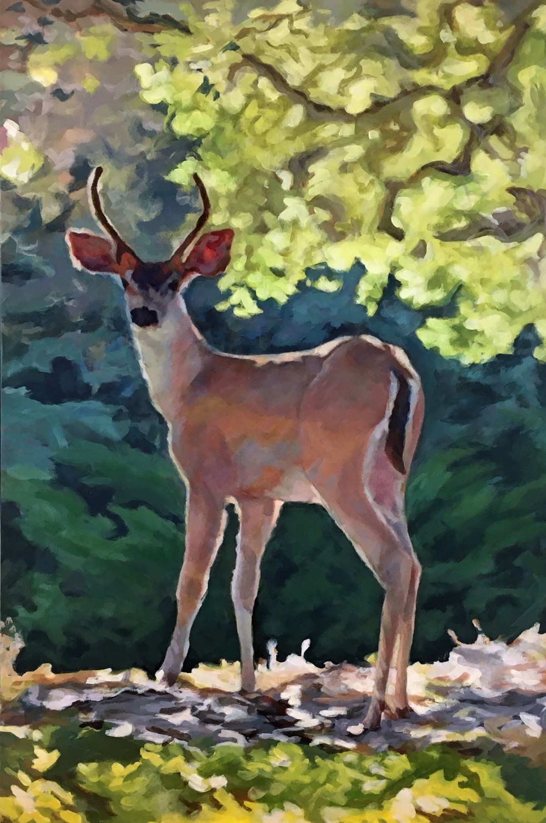 Stanton_Buck_36x24